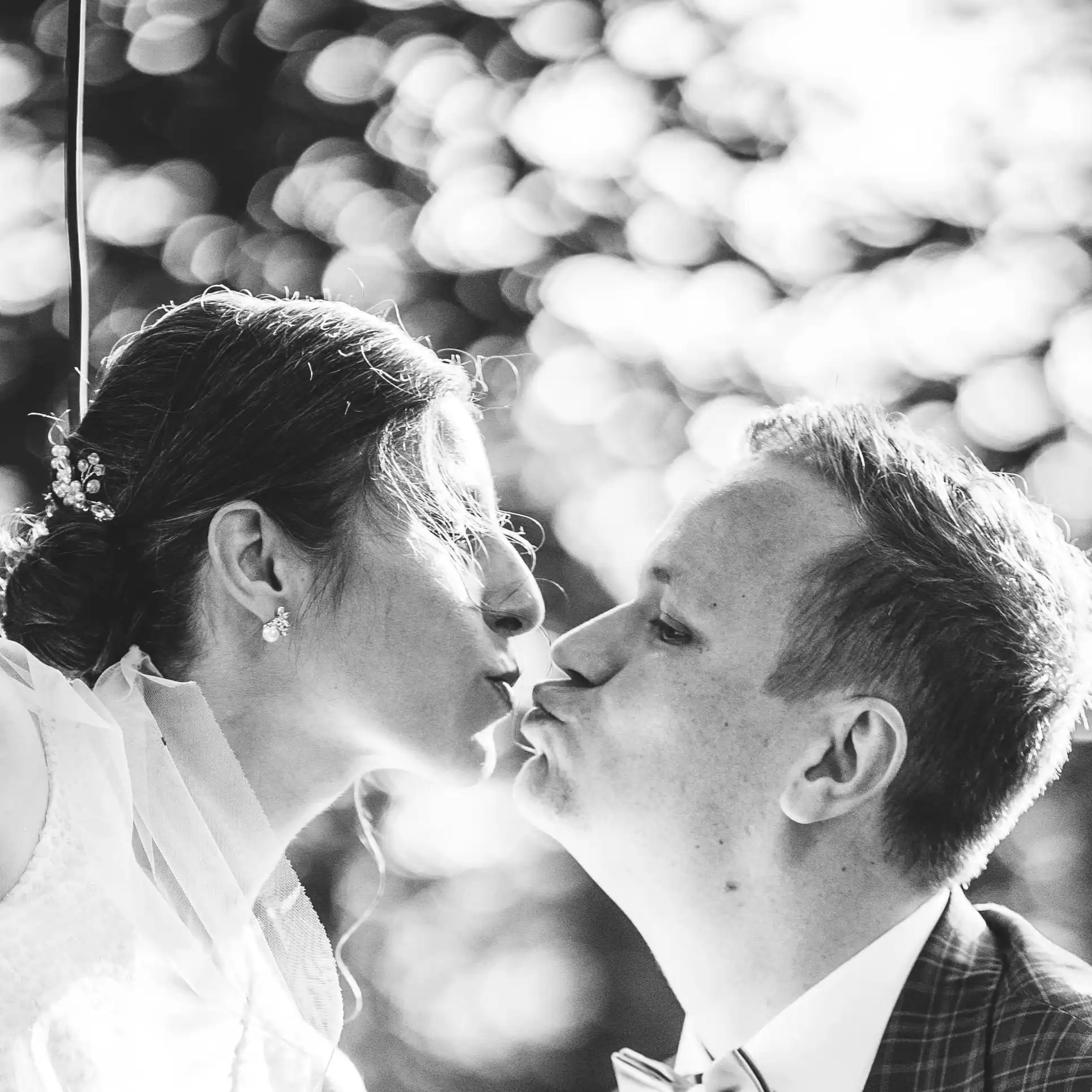 Wedding Gallery Picture